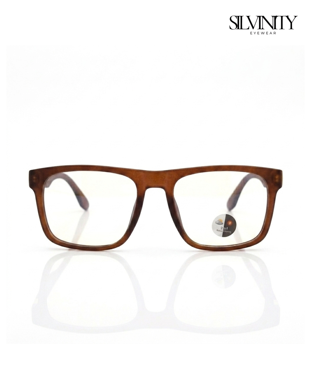 Tortoise Brown