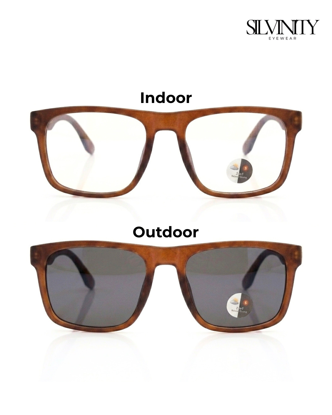 Tortoise Brown